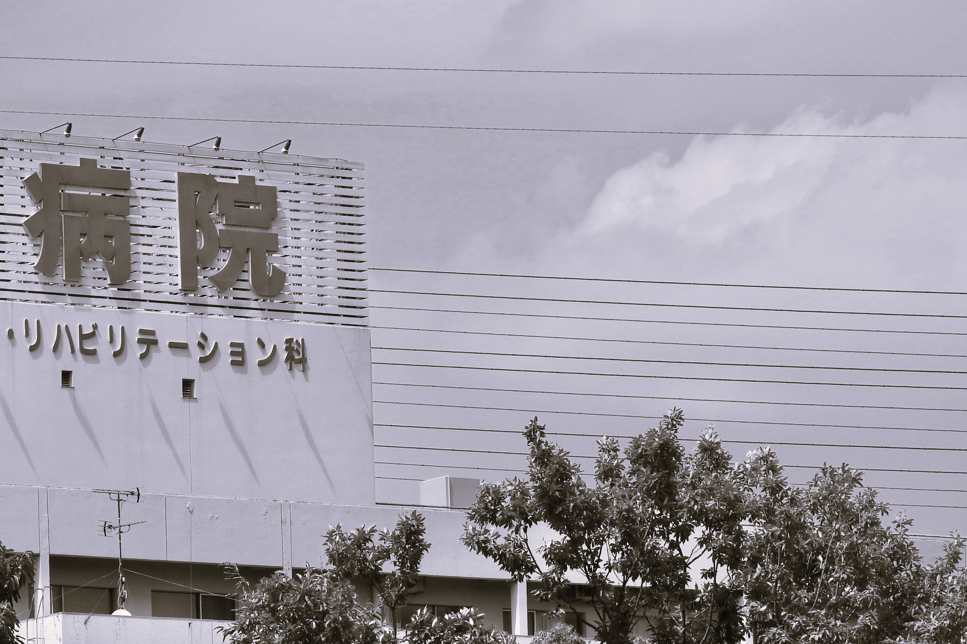 御机下と御侍史を知っている - 的場龍太郎税理士事務所｜杉並区